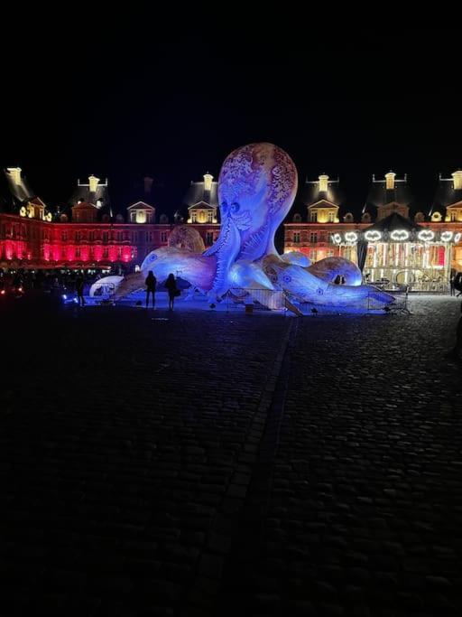 Superbe T2 A 200M De La Place Ducale Charleville-Mézières المظهر الخارجي الصورة